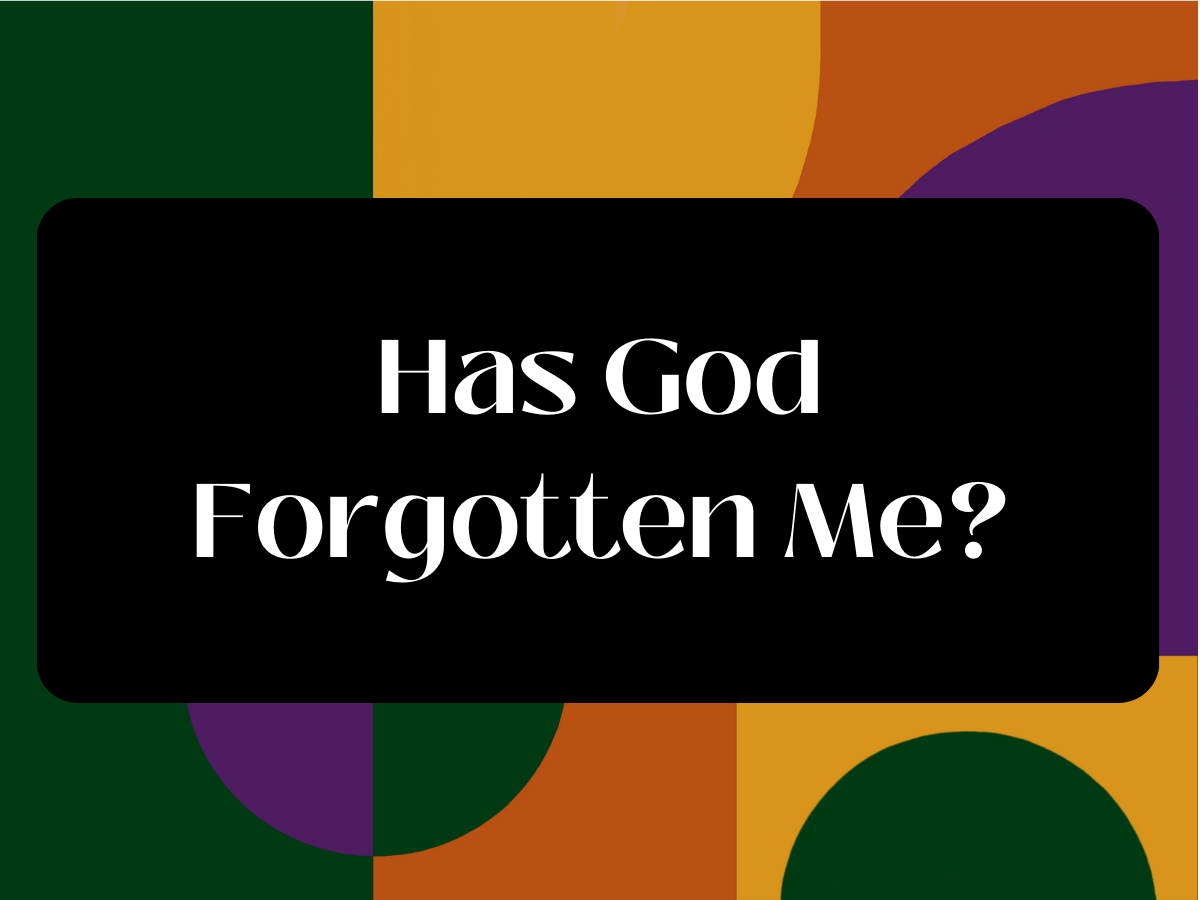 god has not forgotten you in singleness
