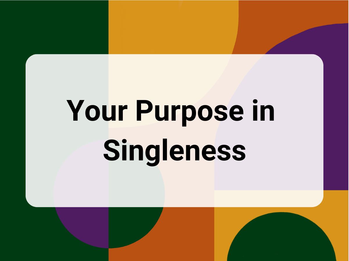 purpose in singleness cover photo